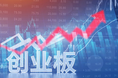 收入利潤雙降，沖擊創業板之路幾經波折——賓酷網絡信息技術咨詢業務面臨挑戰